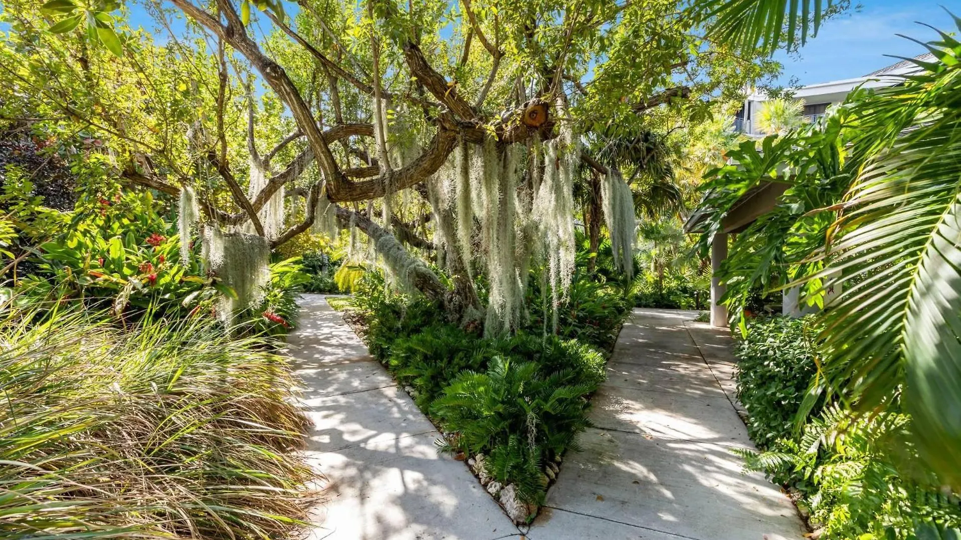 Apartmán Dream Maker On The Atlantic Key West 0*,  USA